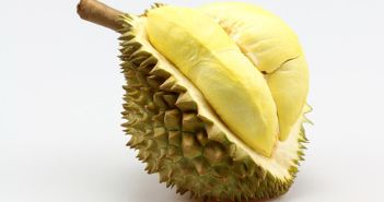 El-durian-la-fruta-mas-apestosa-del-mundo(1)